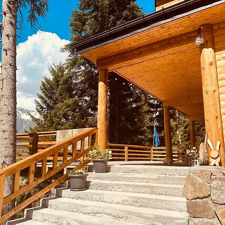 In The Forest Mestia Exterior photo