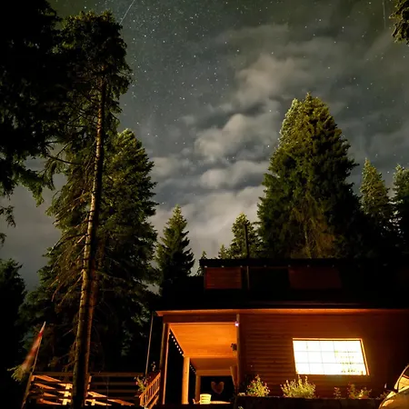 In The Forest Mestia Exterior photo