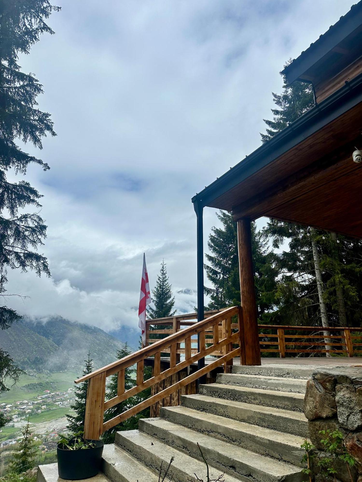 In The Forest فيلة